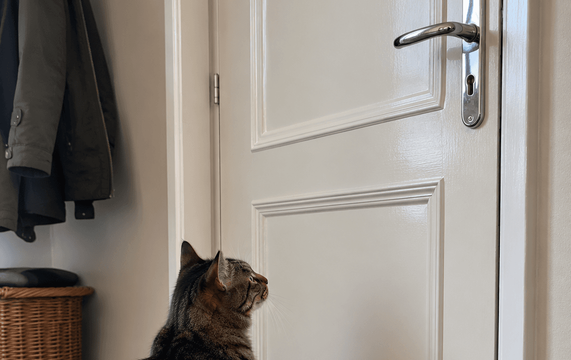 De kat en de deur